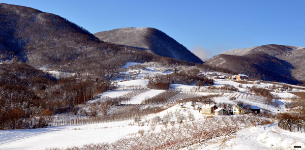 Звучна капија мистичног Стјеника